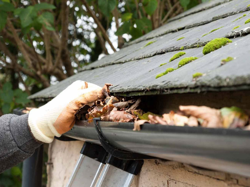 Gutter Services