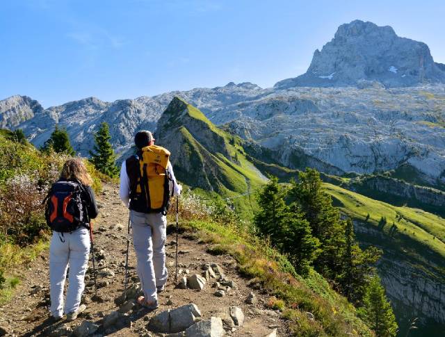 Permitting oversight and coordination to permit approval.