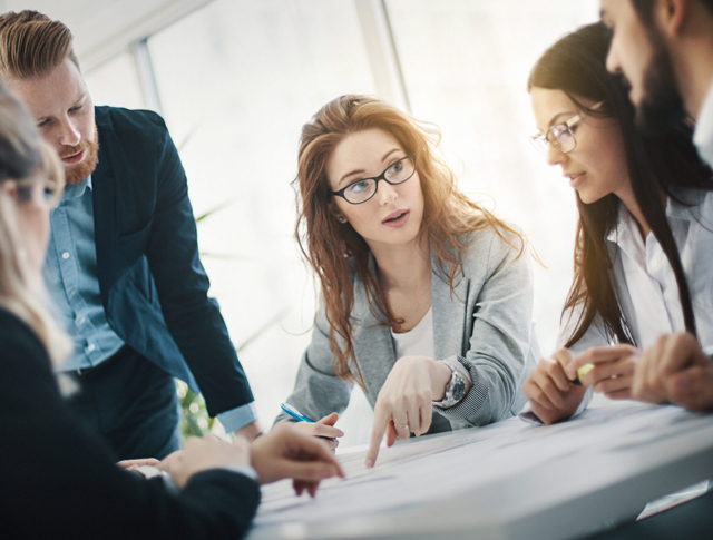 Due Diligence, coordination and review