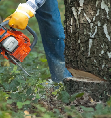 service single images